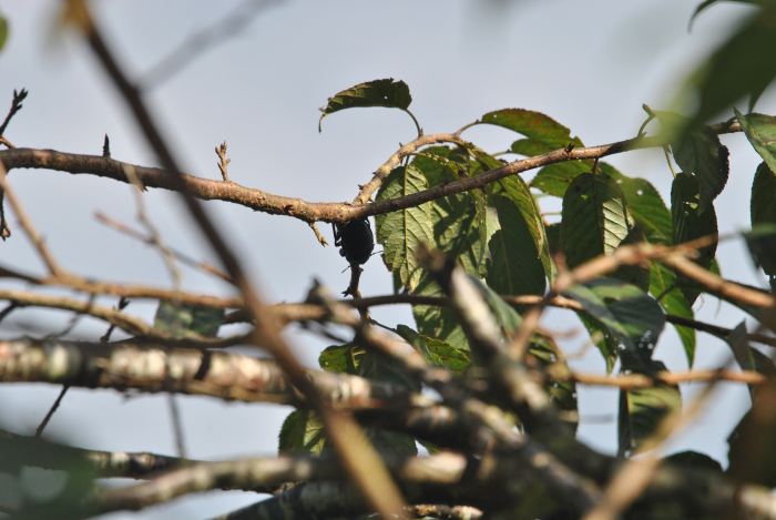 «ö¦¹¦b·sµøµ¡ÂsÄý¹Ï¤ù