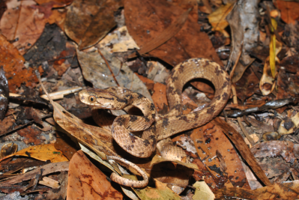 «ö¦¹¦b·sµøµ¡ÂsÄý¹Ï¤ù