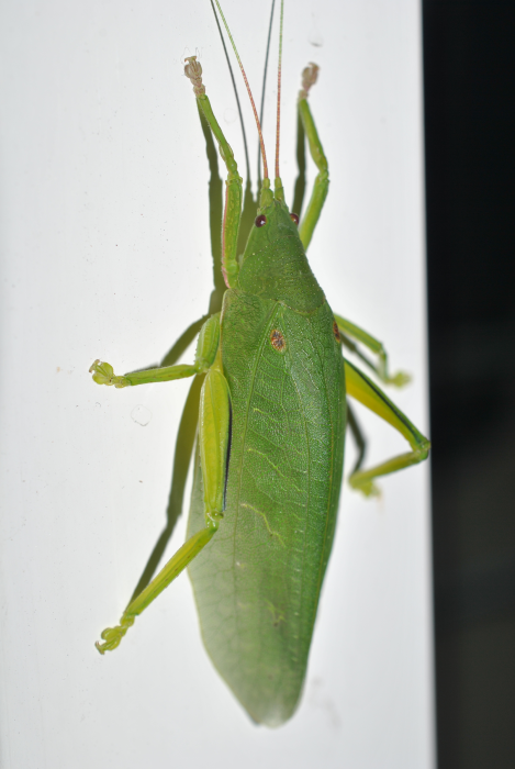 «ö¦¹¦b·sµøµ¡ÂsÄý¹Ï¤ù