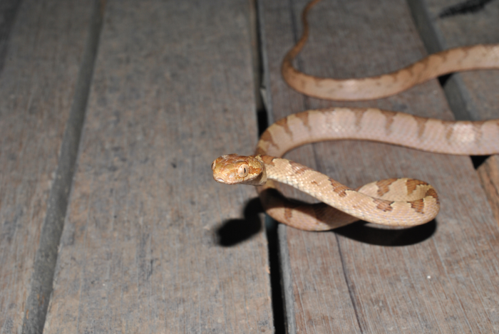 «ö¦¹¦b·sµøµ¡ÂsÄý¹Ï¤ù