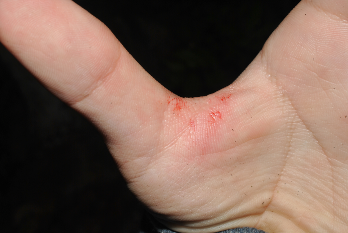 «ö¦¹¦b·sµøµ¡ÂsÄý¹Ï¤ù