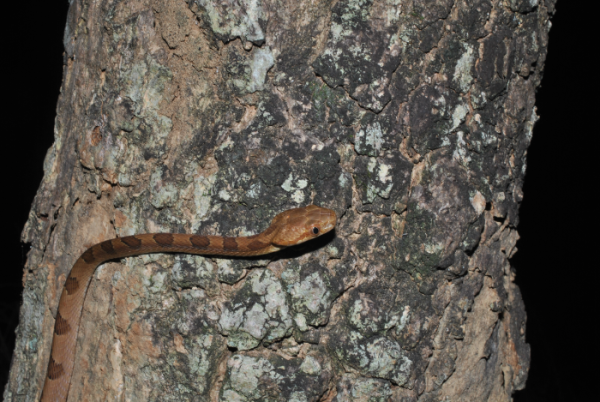 «ö¦¹¦b·sµøµ¡ÂsÄý¹Ï¤ù