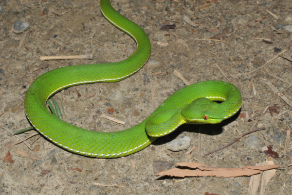 «ö¦¹¦b·sµøµ¡ÂsÄý¹Ï¤ù