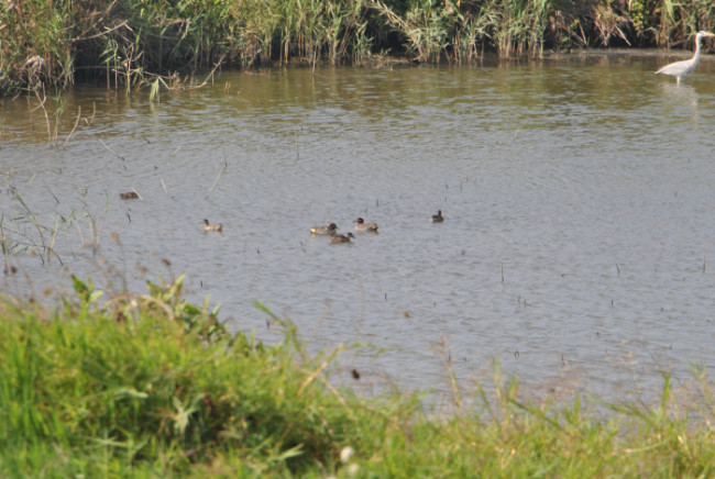 «ö¦¹¦b·sµøµ¡ÂsÄý¹Ï¤ù