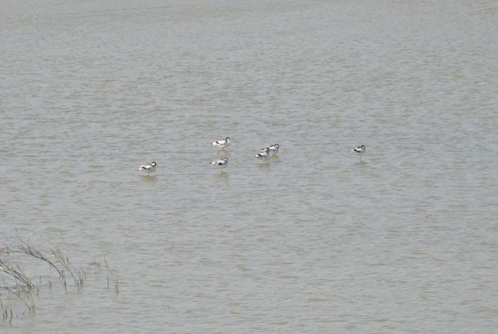 «ö¦¹¦b·sµøµ¡ÂsÄý¹Ï¤ù