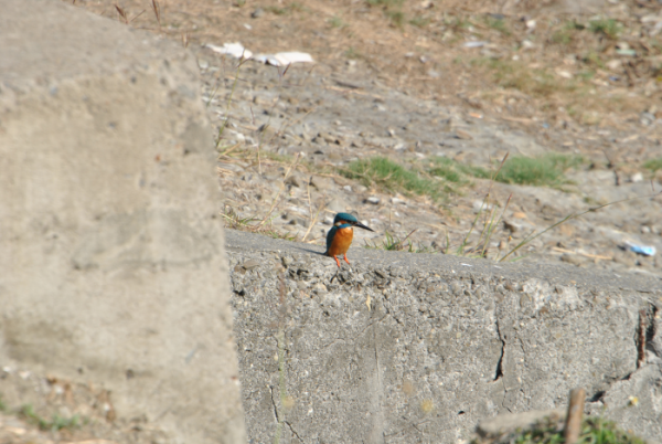 «ö¦¹¦b·sµøµ¡ÂsÄý¹Ï¤ù