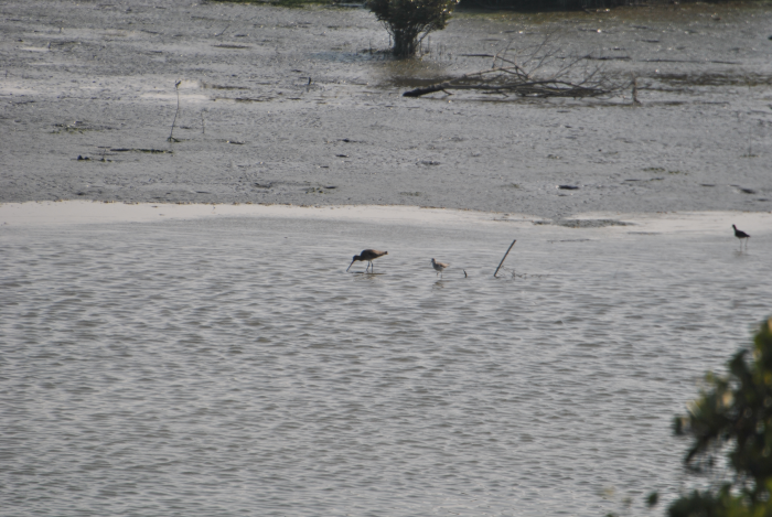 «ö¦¹¦b·sµøµ¡ÂsÄý¹Ï¤ù