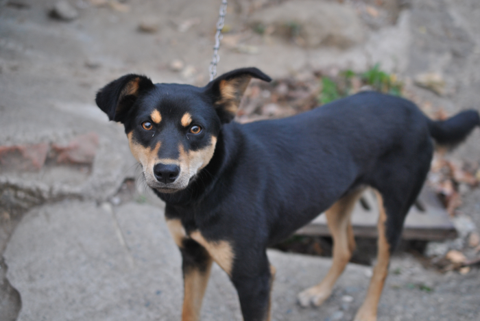 «ö¦¹¦b·sµøµ¡ÂsÄý¹Ï¤ù