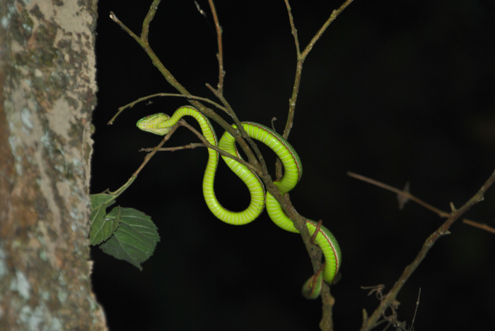 «ö¦¹¦b·sµøµ¡ÂsÄý¹Ï¤ù