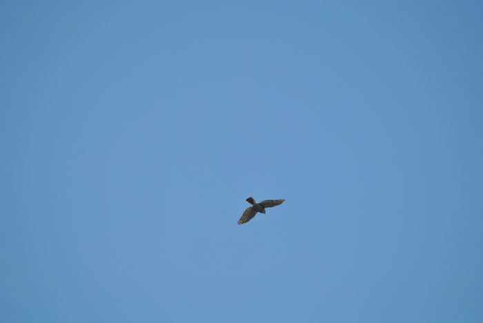 «ö¦¹¦b·sµøµ¡ÂsÄý¹Ï¤ù