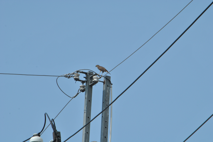 «ö¦¹¦b·sµøµ¡ÂsÄý¹Ï¤ù