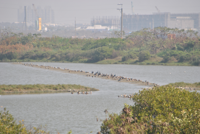 «ö¦¹¦b·sµøµ¡ÂsÄý¹Ï¤ù