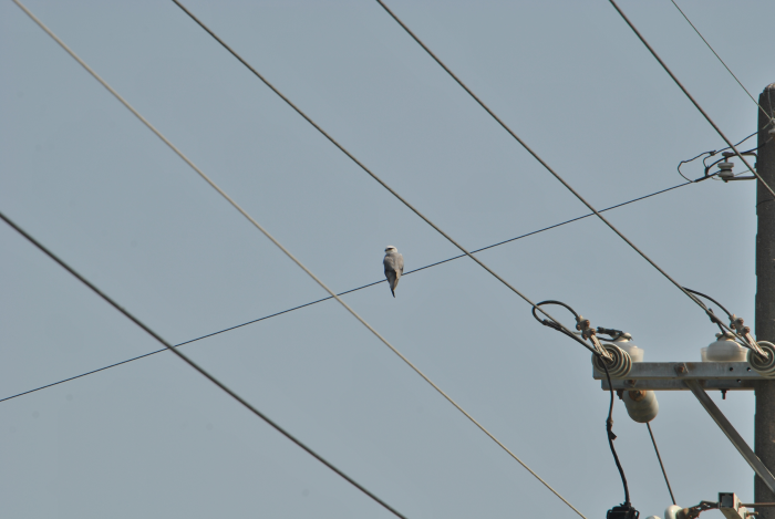 «ö¦¹¦b·sµøµ¡ÂsÄý¹Ï¤ù