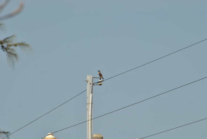 «ö¦¹¦b·sµøµ¡ÂsÄý¹Ï¤ù