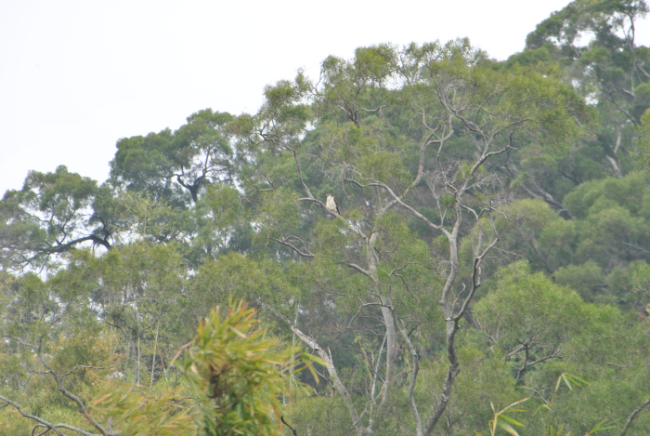 «ö¦¹¦b·sµøµ¡ÂsÄý¹Ï¤ù