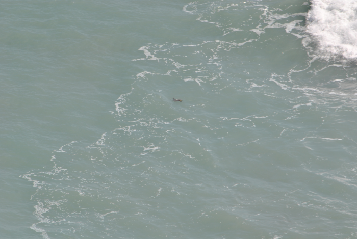 «ö¦¹¦b·sµøµ¡ÂsÄý¹Ï¤ù