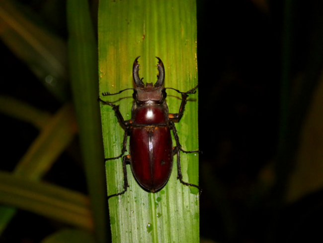 «ö¦¹¦b·sµøµ¡ÂsÄý¹Ï¤ù