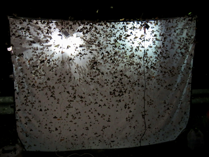 «ö¦¹¦b·sµøµ¡ÂsÄý¹Ï¤ù