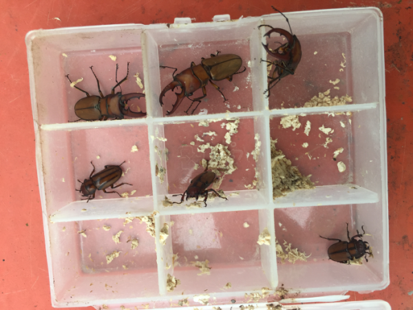 «ö¦¹¦b·sµøµ¡ÂsÄý¹Ï¤ù