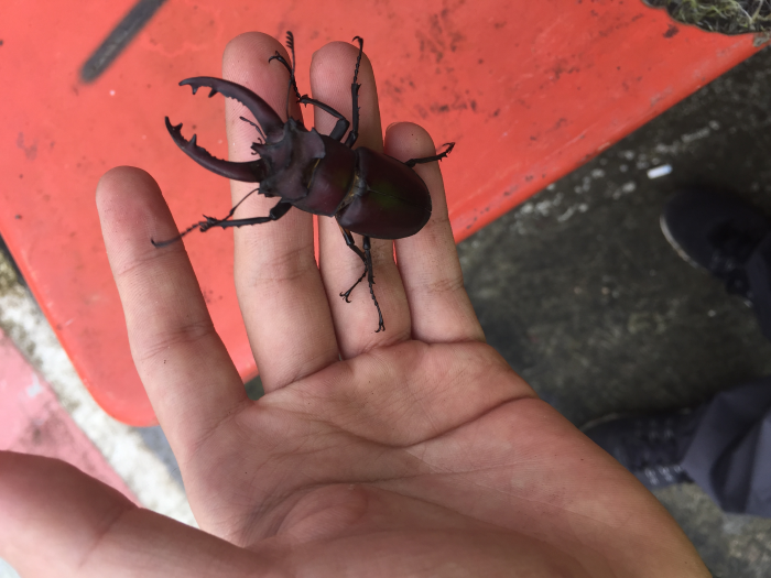 «ö¦¹¦b·sµøµ¡ÂsÄý¹Ï¤ù