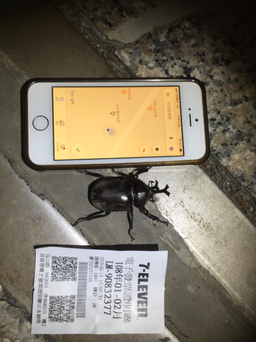 «ö¦¹¦b·sµøµ¡ÂsÄý¹Ï¤ù