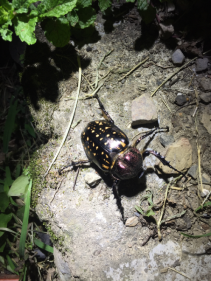 «ö¦¹¦b·sµøµ¡ÂsÄý¹Ï¤ù