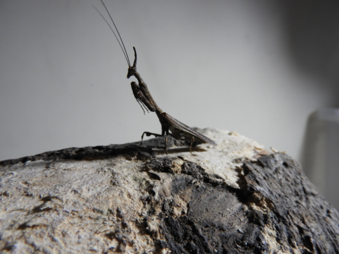 «ö¦¹¦b·sµøµ¡ÂsÄý¹Ï¤ù