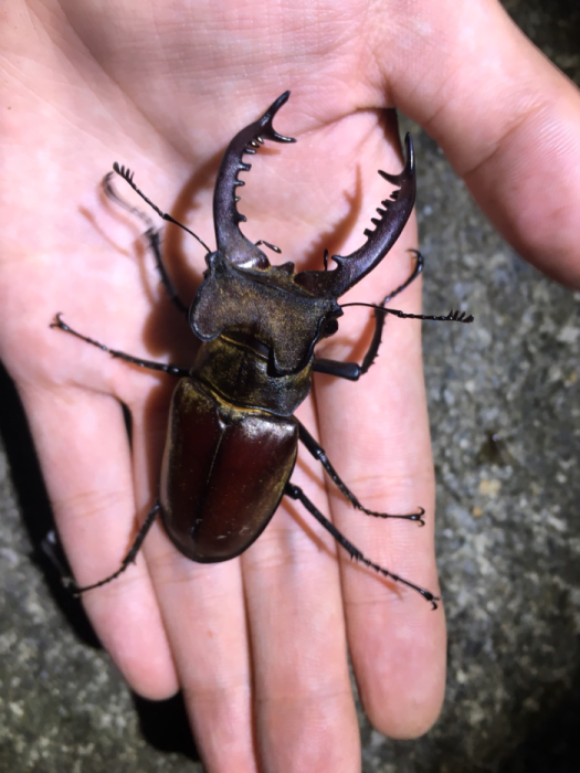 «ö¦¹¦b·sµøµ¡ÂsÄý¹Ï¤ù