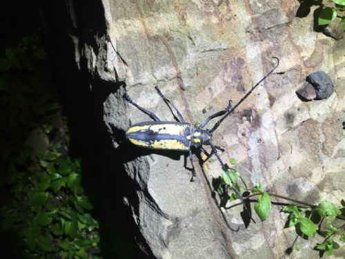 «ö¦¹¦b·sµøµ¡ÂsÄý¹Ï¤ù