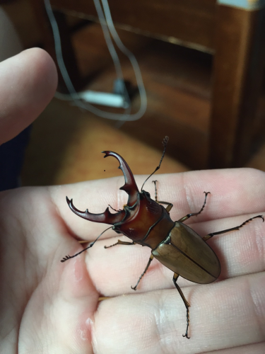 «ö¦¹¦b·sµøµ¡ÂsÄý¹Ï¤ù