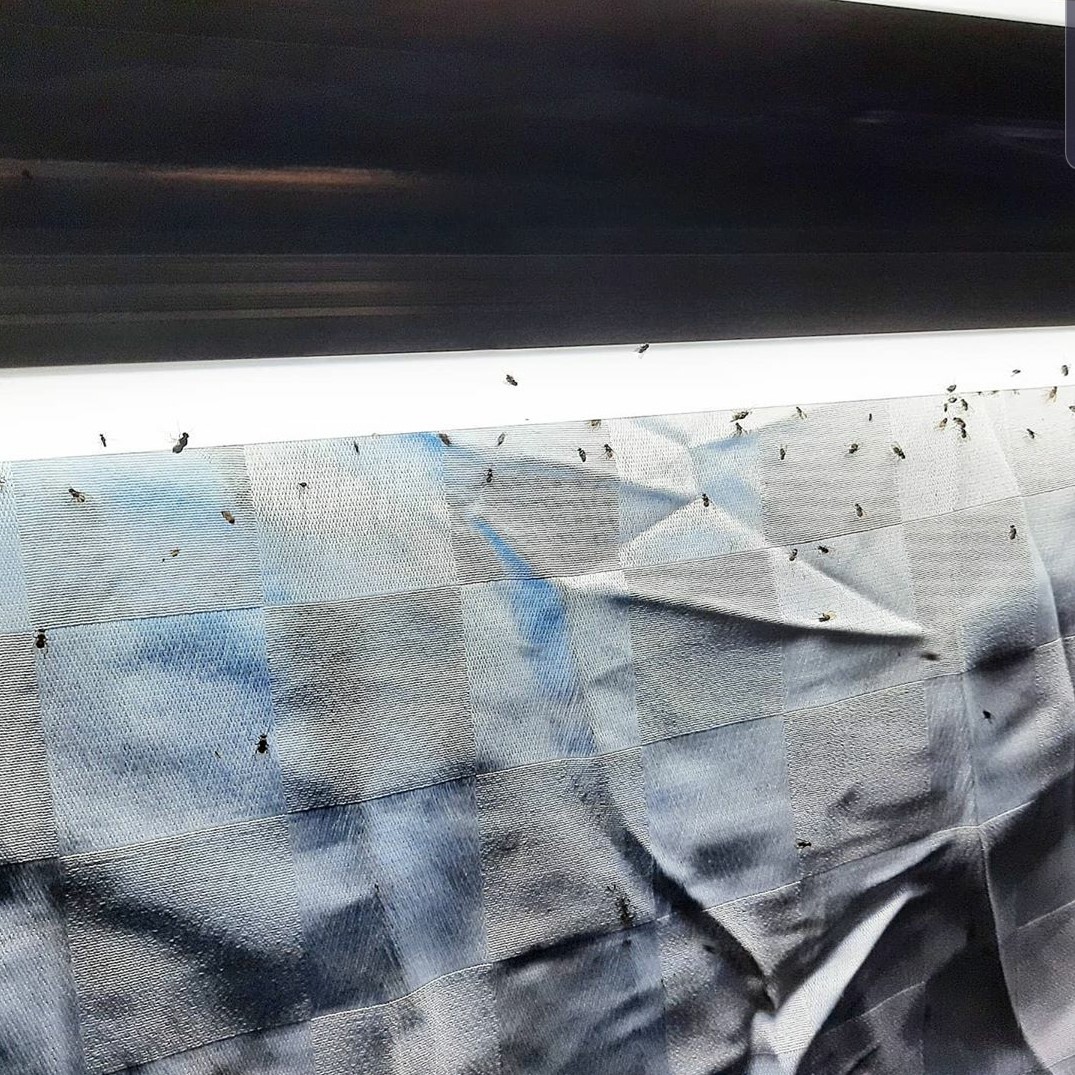 «ö¦¹¦b·sµøµ¡ÂsÄý¹Ï¤ù