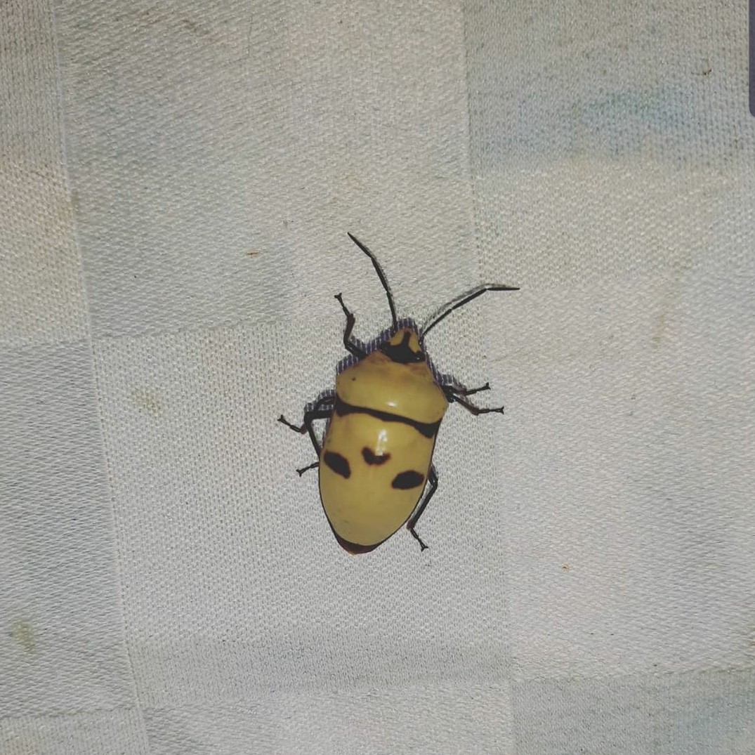 «ö¦¹¦b·sµøµ¡ÂsÄý¹Ï¤ù