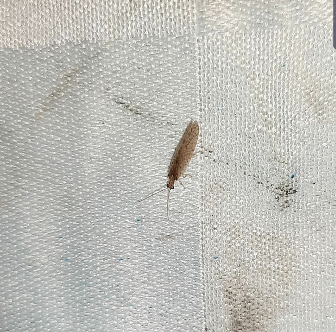 «ö¦¹¦b·sµøµ¡ÂsÄý¹Ï¤ù