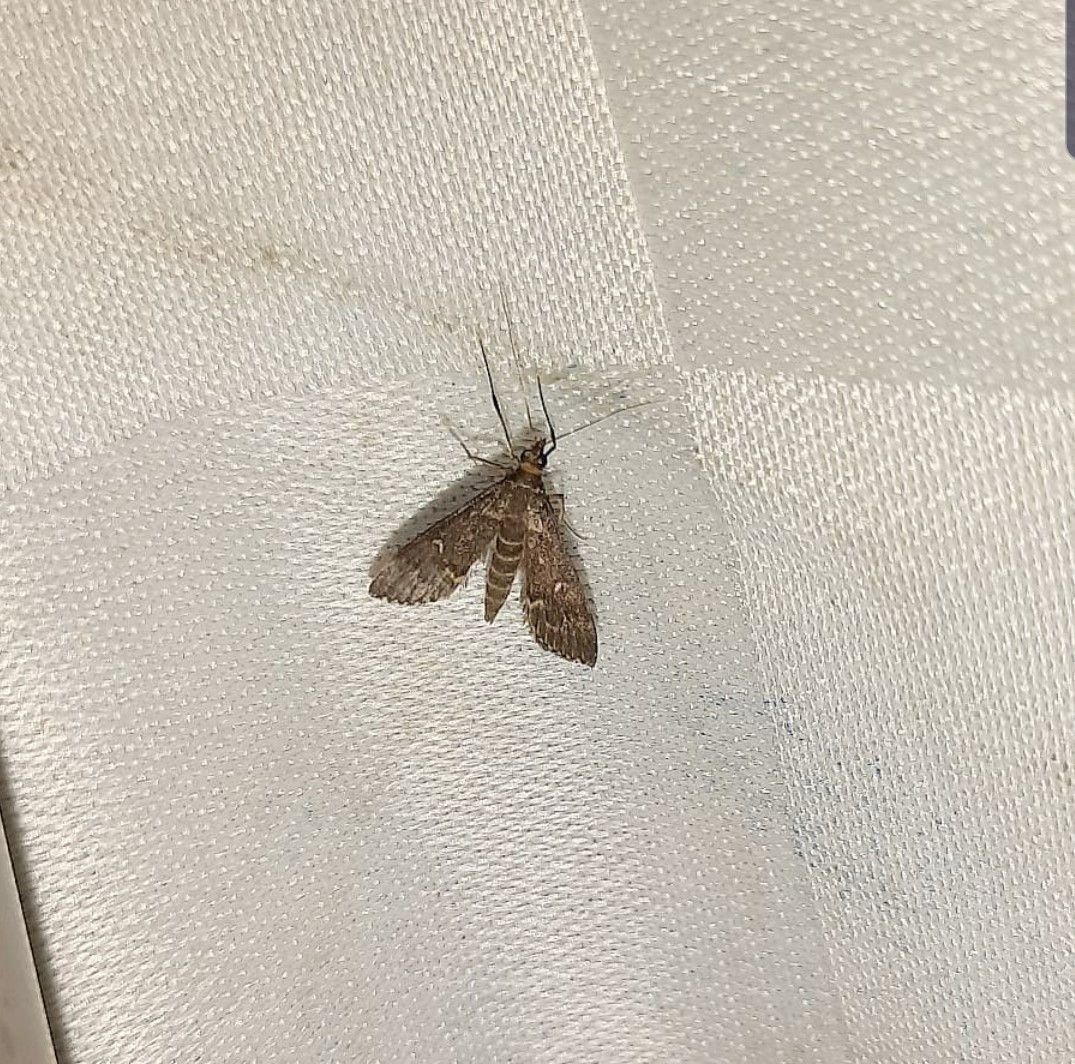 «ö¦¹¦b·sµøµ¡ÂsÄý¹Ï¤ù