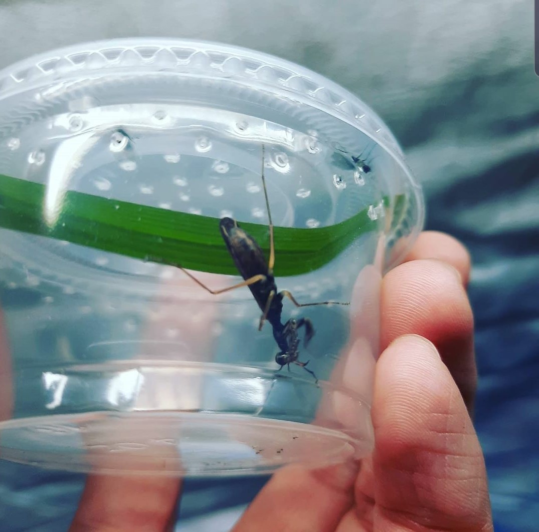 «ö¦¹¦b·sµøµ¡ÂsÄý¹Ï¤ù