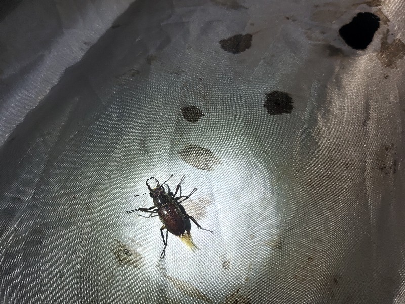 «ö¦¹¦b·sµøµ¡ÂsÄý¹Ï¤ù