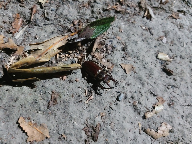 «ö¦¹¦b·sµøµ¡ÂsÄý¹Ï¤ù