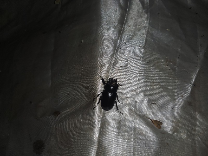 «ö¦¹¦b·sµøµ¡ÂsÄý¹Ï¤ù