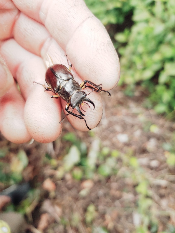 «ö¦¹¦b·sµøµ¡ÂsÄý¹Ï¤ù