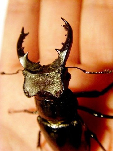 «ö¦¹¦b·sµøµ¡ÂsÄý¹Ï¤ù