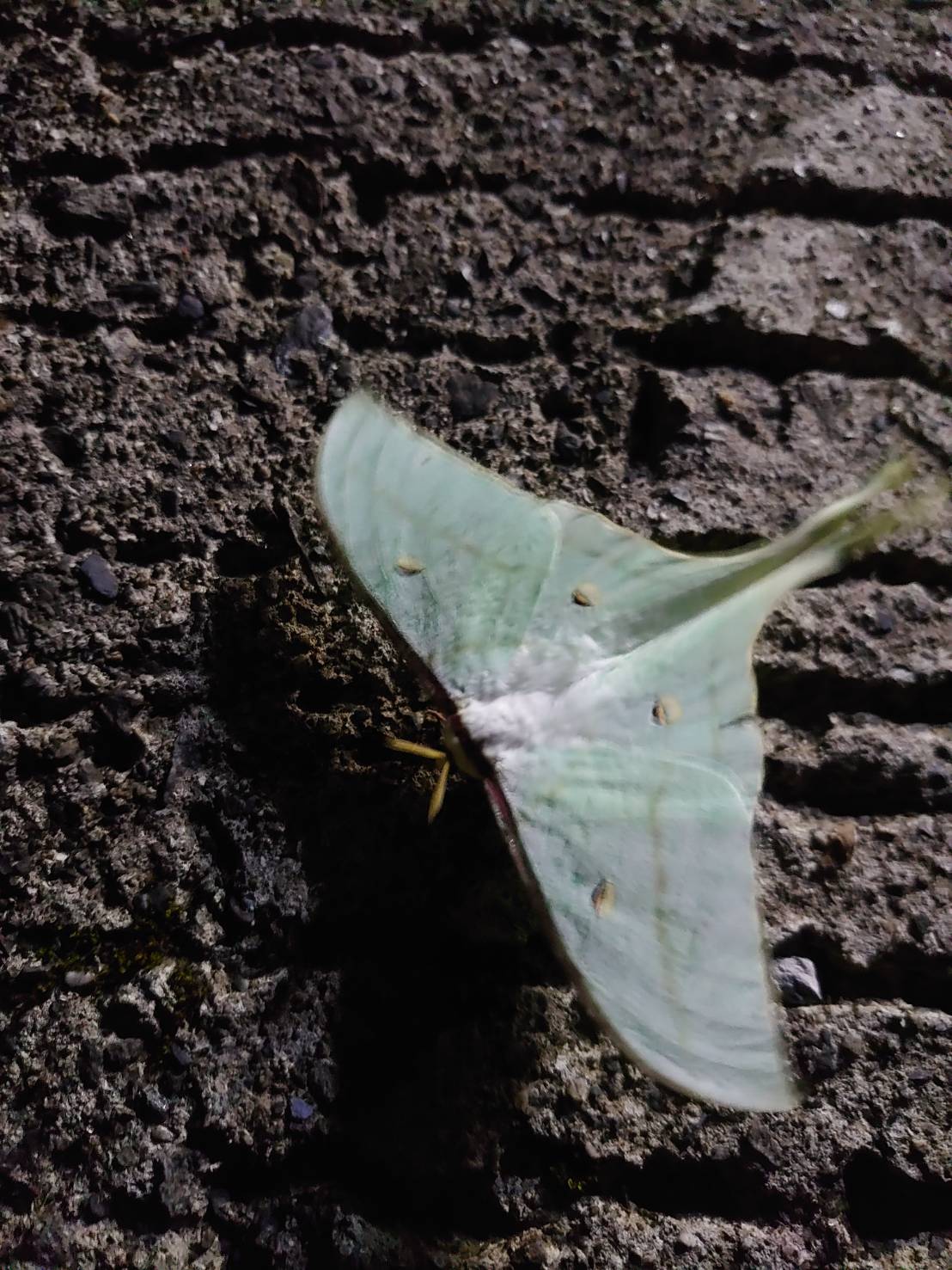 «ö¦¹¦b·sµøµ¡ÂsÄý¹Ï¤ù