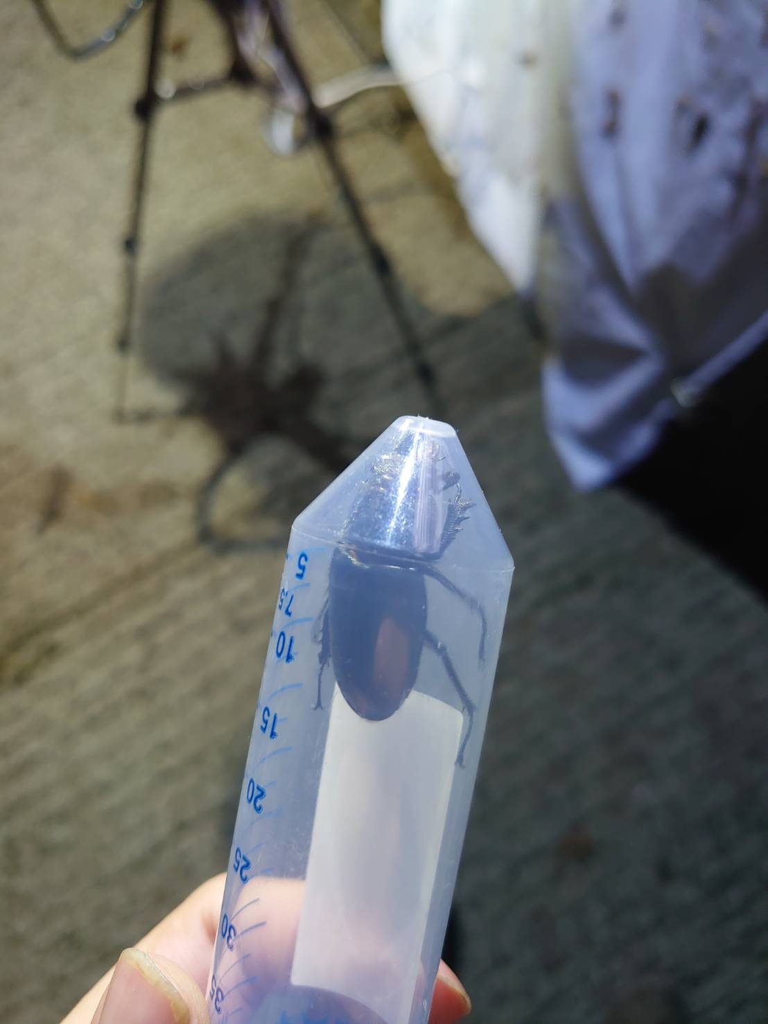 «ö¦¹¦b·sµøµ¡ÂsÄý¹Ï¤ù