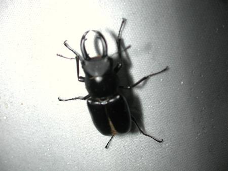 按此在新視窗瀏覽圖片