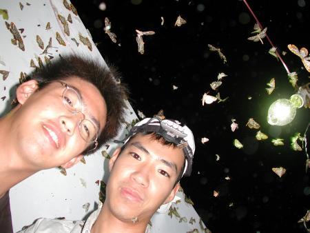 按此在新視窗瀏覽圖片