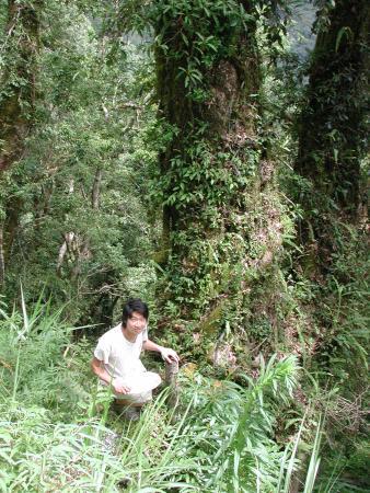 按此在新視窗瀏覽圖片