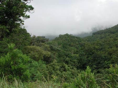 按此在新視窗瀏覽圖片