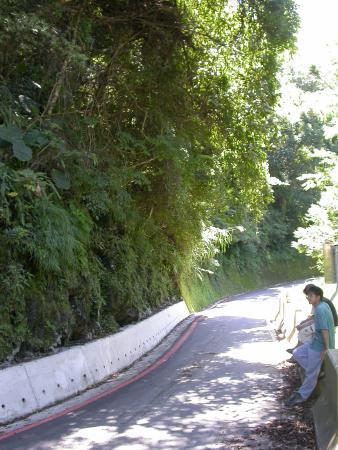 按此在新視窗瀏覽圖片