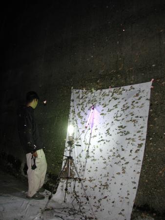 按此在新視窗瀏覽圖片