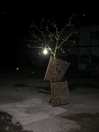 按此在新視窗瀏覽圖片