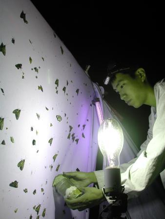 按此在新視窗瀏覽圖片